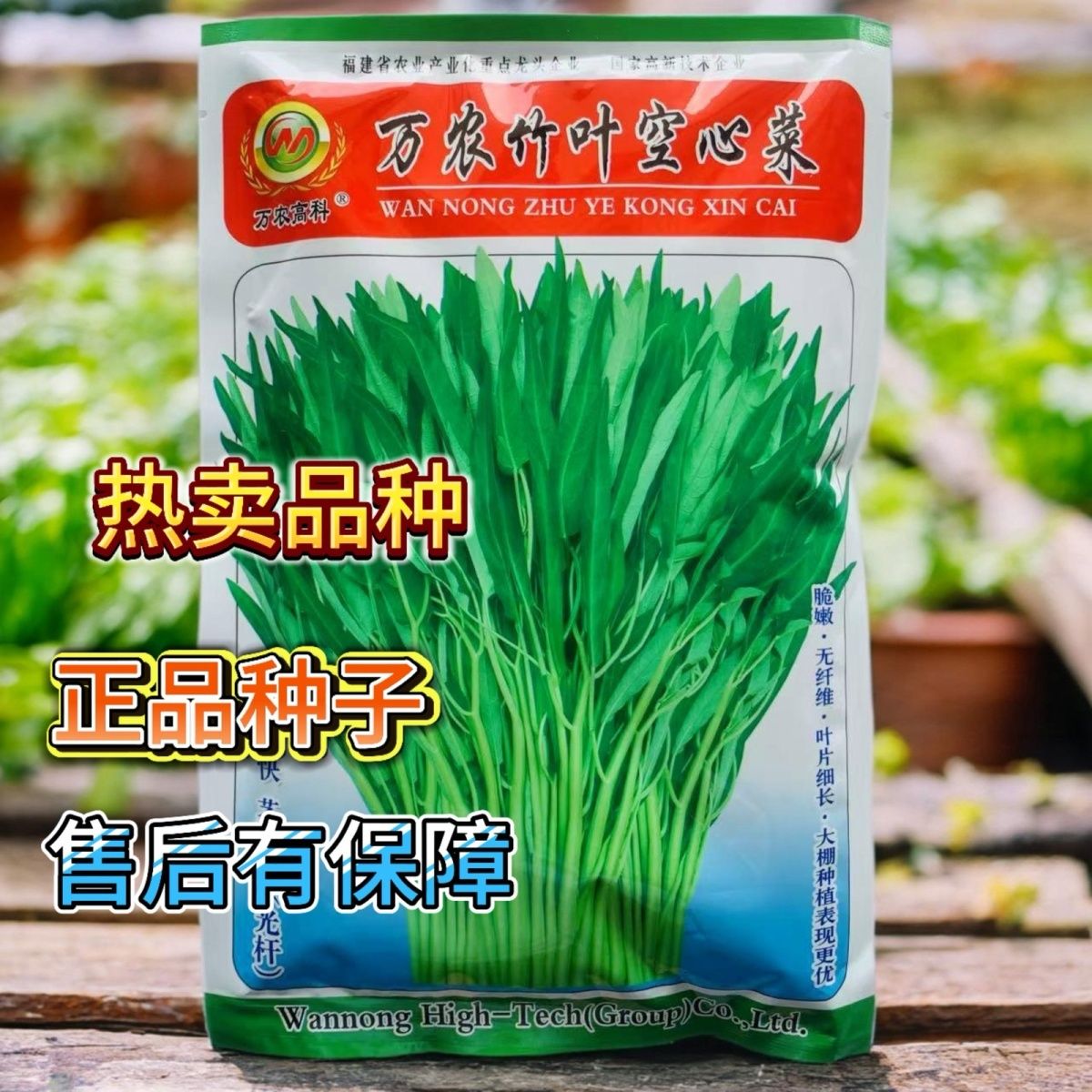 万农高科竹叶空心菜种子台湾品种杂交蕹菜竹节菜良种500g原装包邮