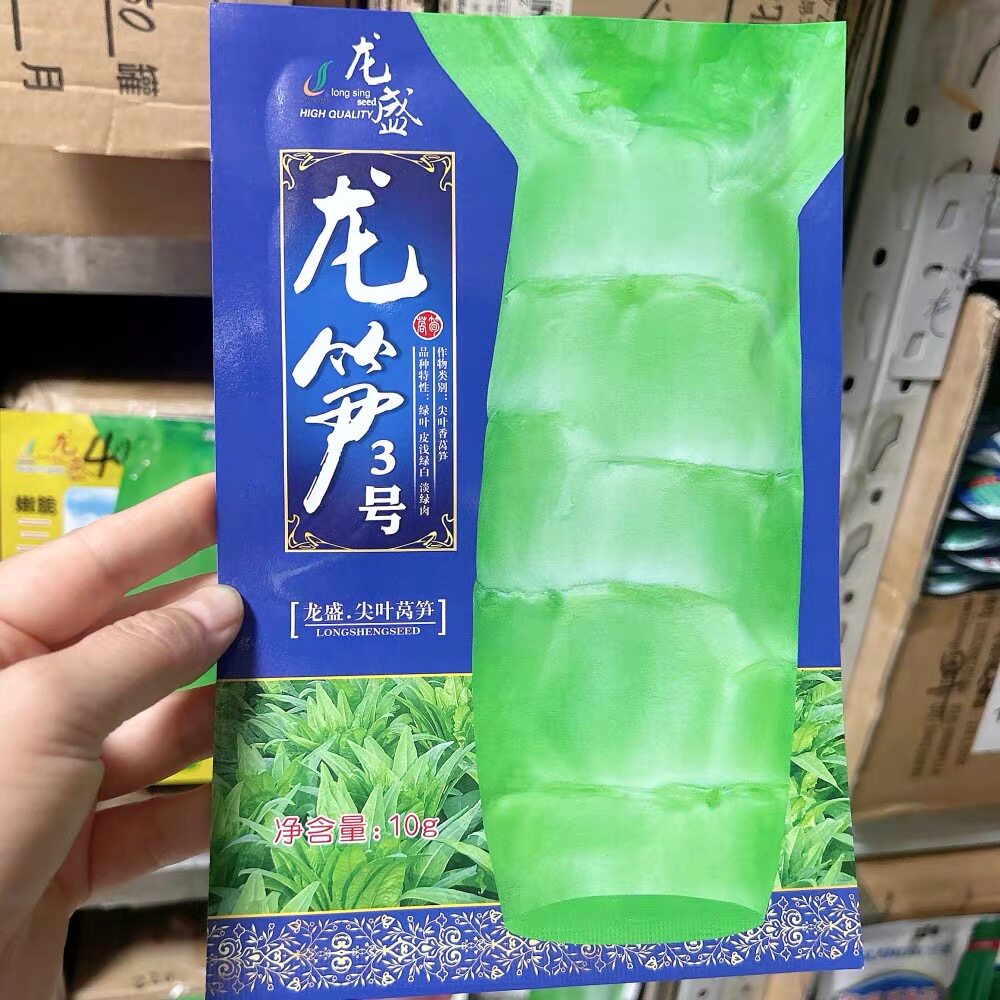 龙笋3号抗热尖叶香莴笋种籽四川种业莴苣菜种子春秋季播种孑