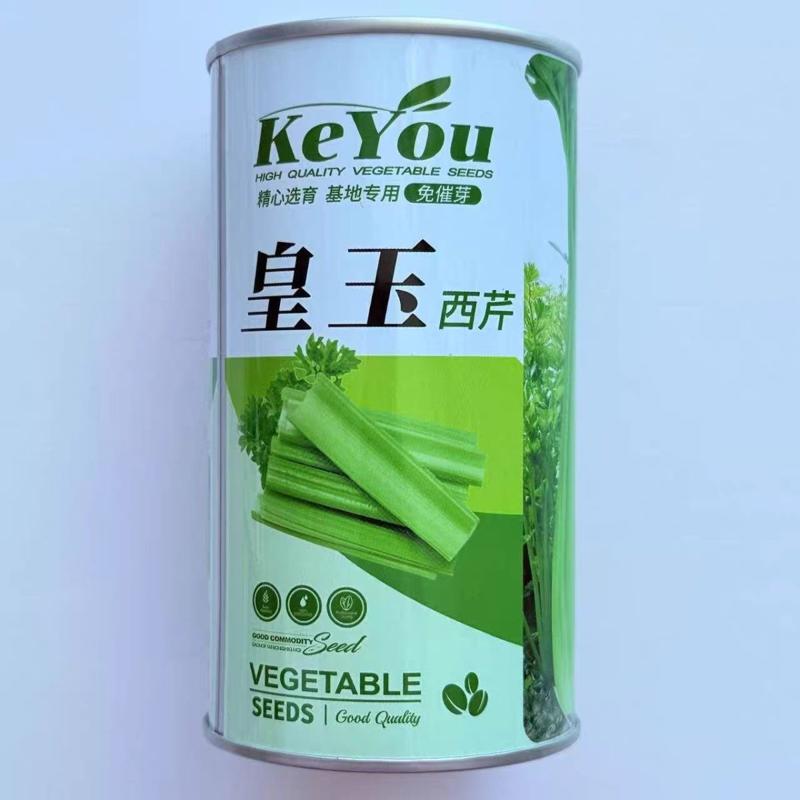 皇玉芹菜种子高产抗病耐热耐寒中早熟春秋播农家菜园基地芹菜种籽