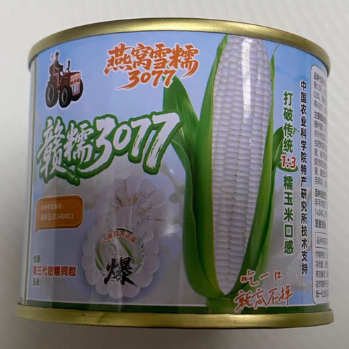 燕窝雪糯赣糯3077玉米种子全新第三代超甜糯玉米好种植新鲜即食