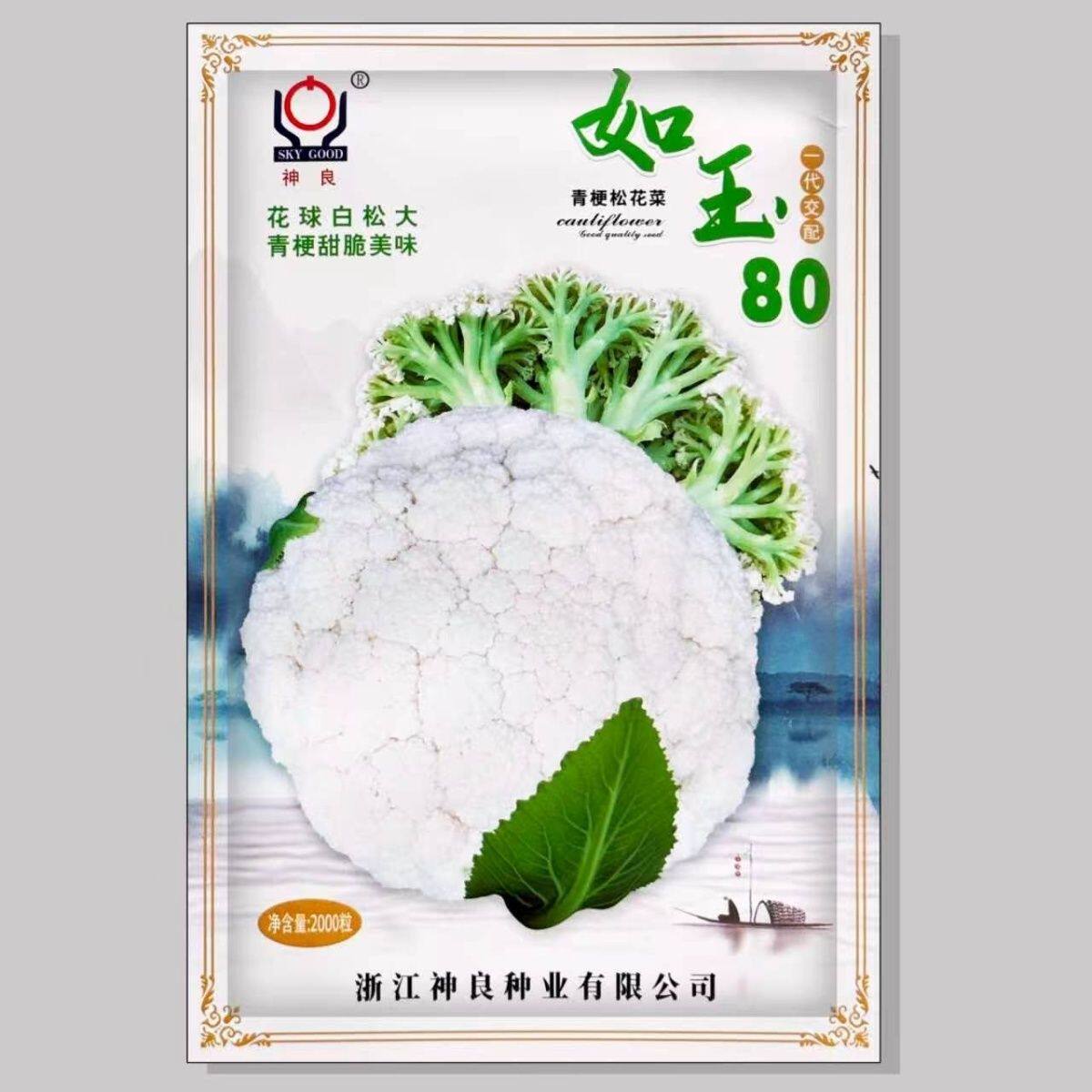 如玉80青梗松花菜种子一代杂交中熟花球白松大青梗甜脆美味
