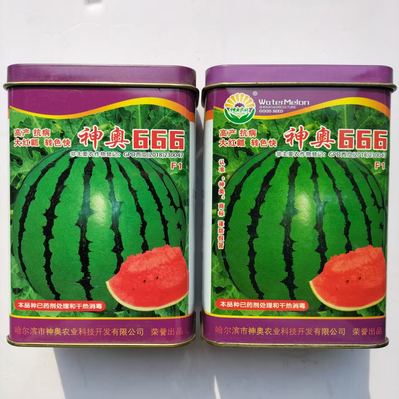 666大红瓤西瓜种子中早熟肉质紧实果实硬耐贮运香甜脆西瓜籽