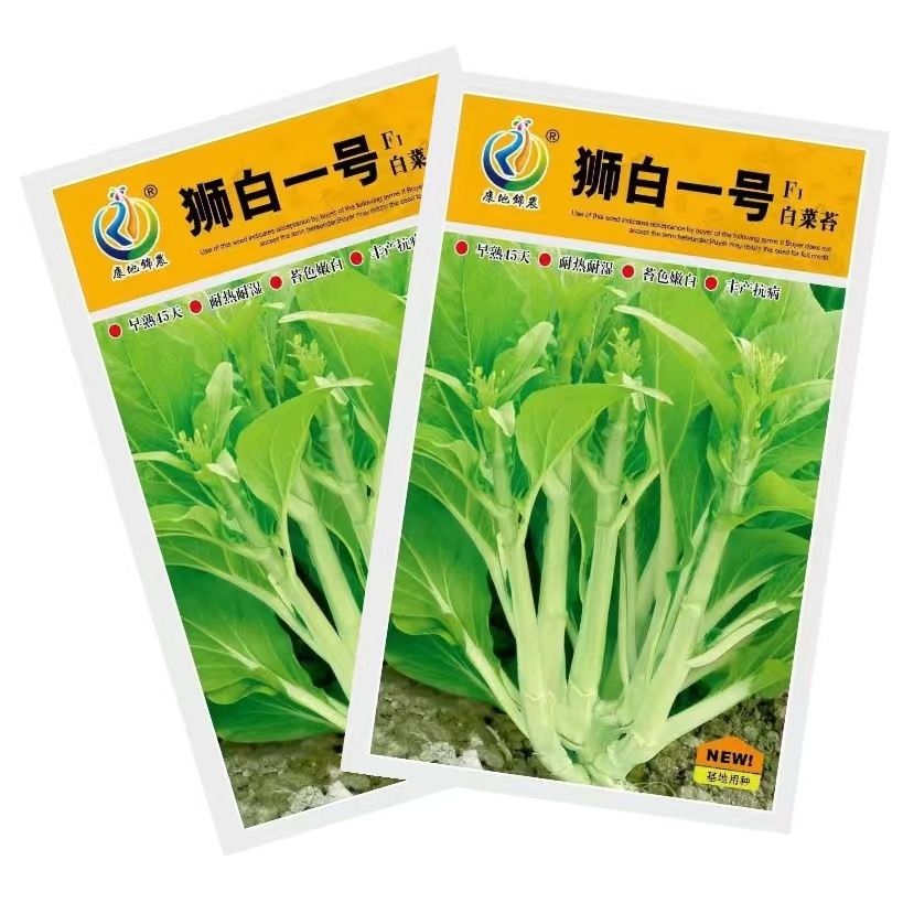 狮白一号白菜苔种子早熟白菜心杂交菜薹秋冬季蔬菜多子多福菜芯籽