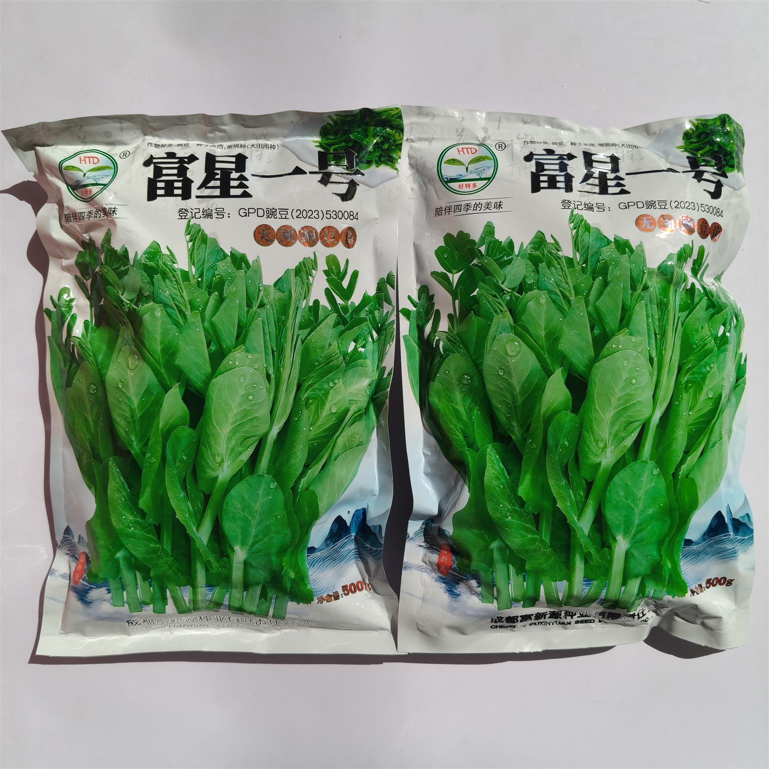 富星一号豌豆苗种子无须芽苗菜种籽地栽蔬菜孑土培多茬四川豌豆尖