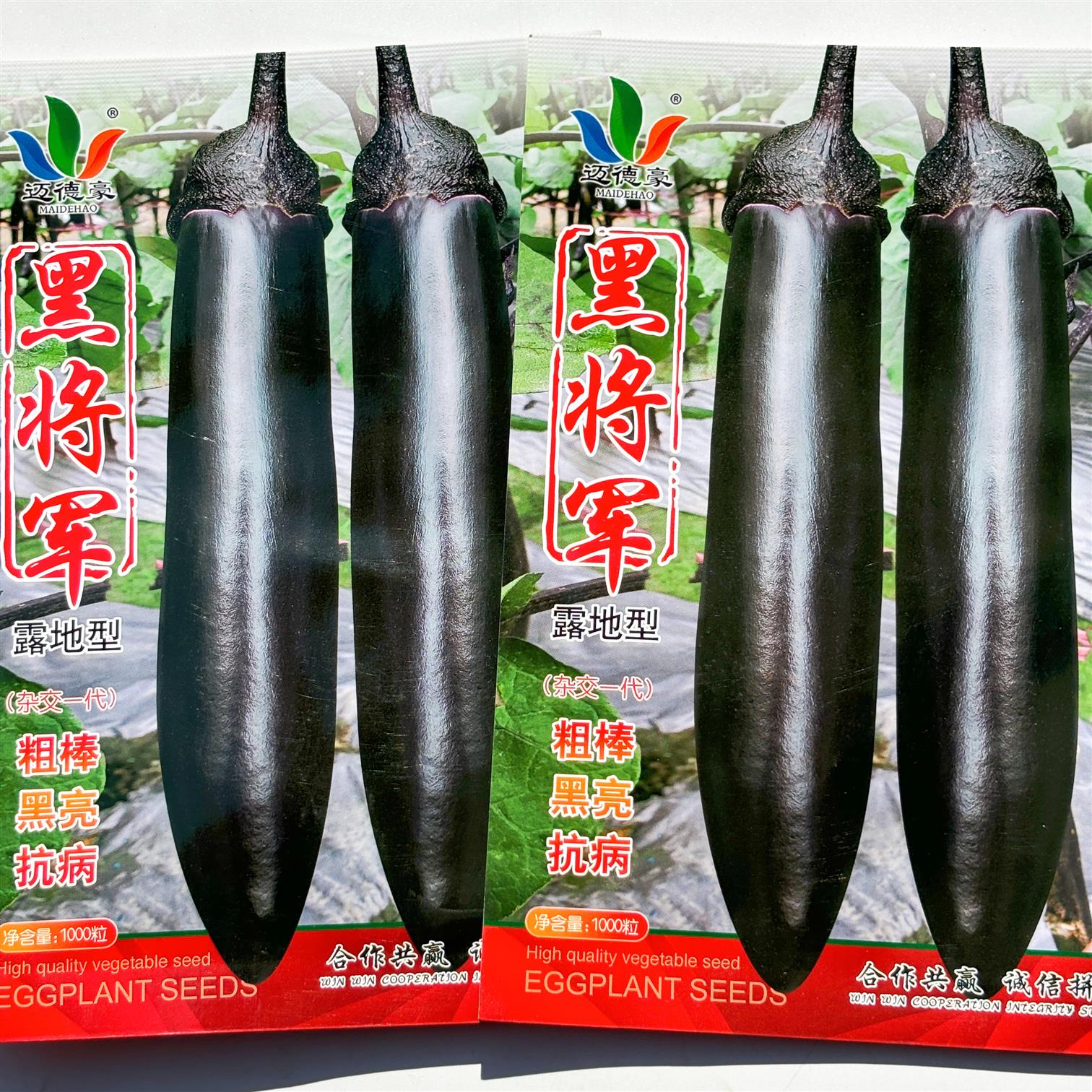 近德豪黑将军茄子种籽黑长茄种子粗棒早中熟杂交果肉淡绿春秋露地