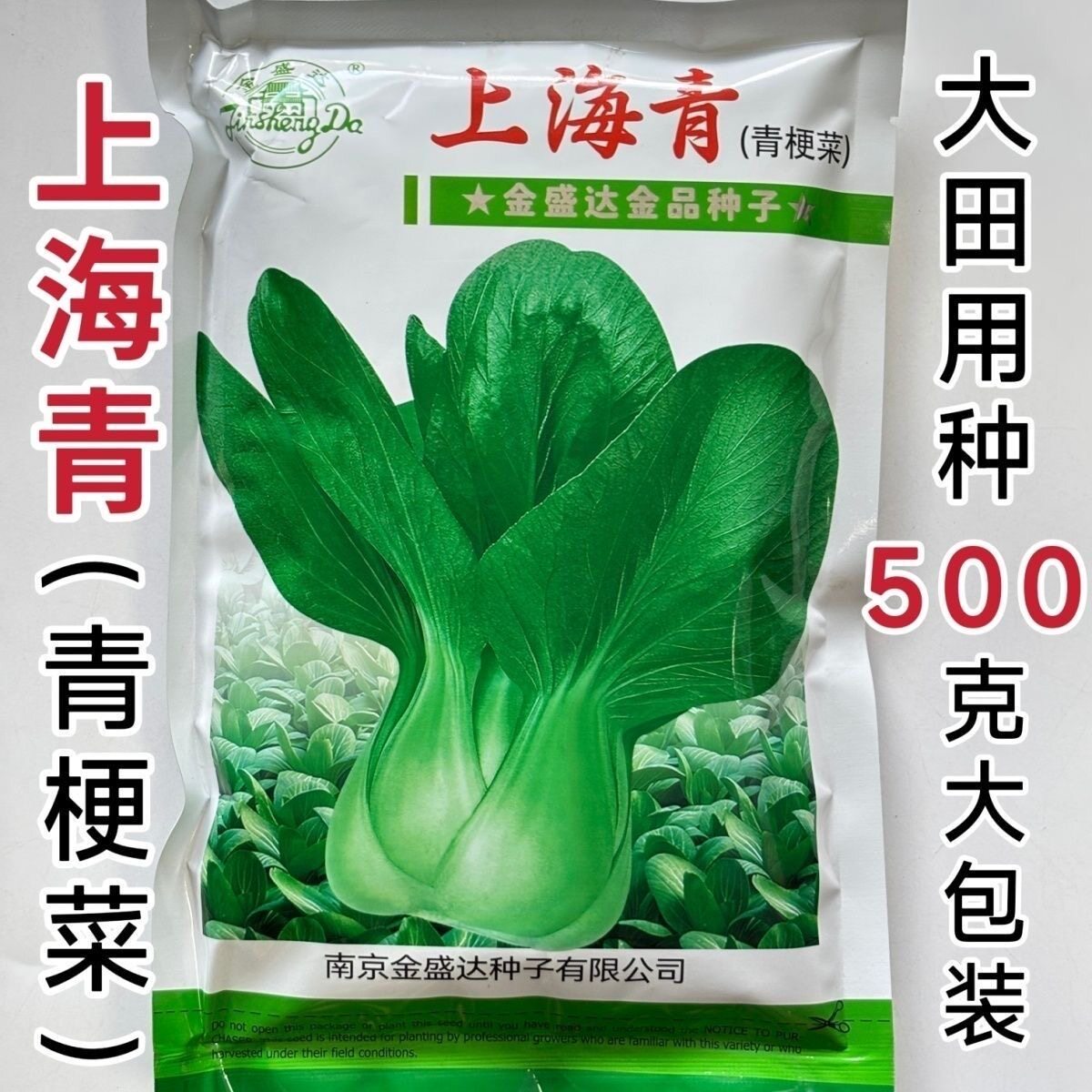 上海青鸡毛菜黑大头黑叶苏州青青梗菜种子小油菜春秋四季播