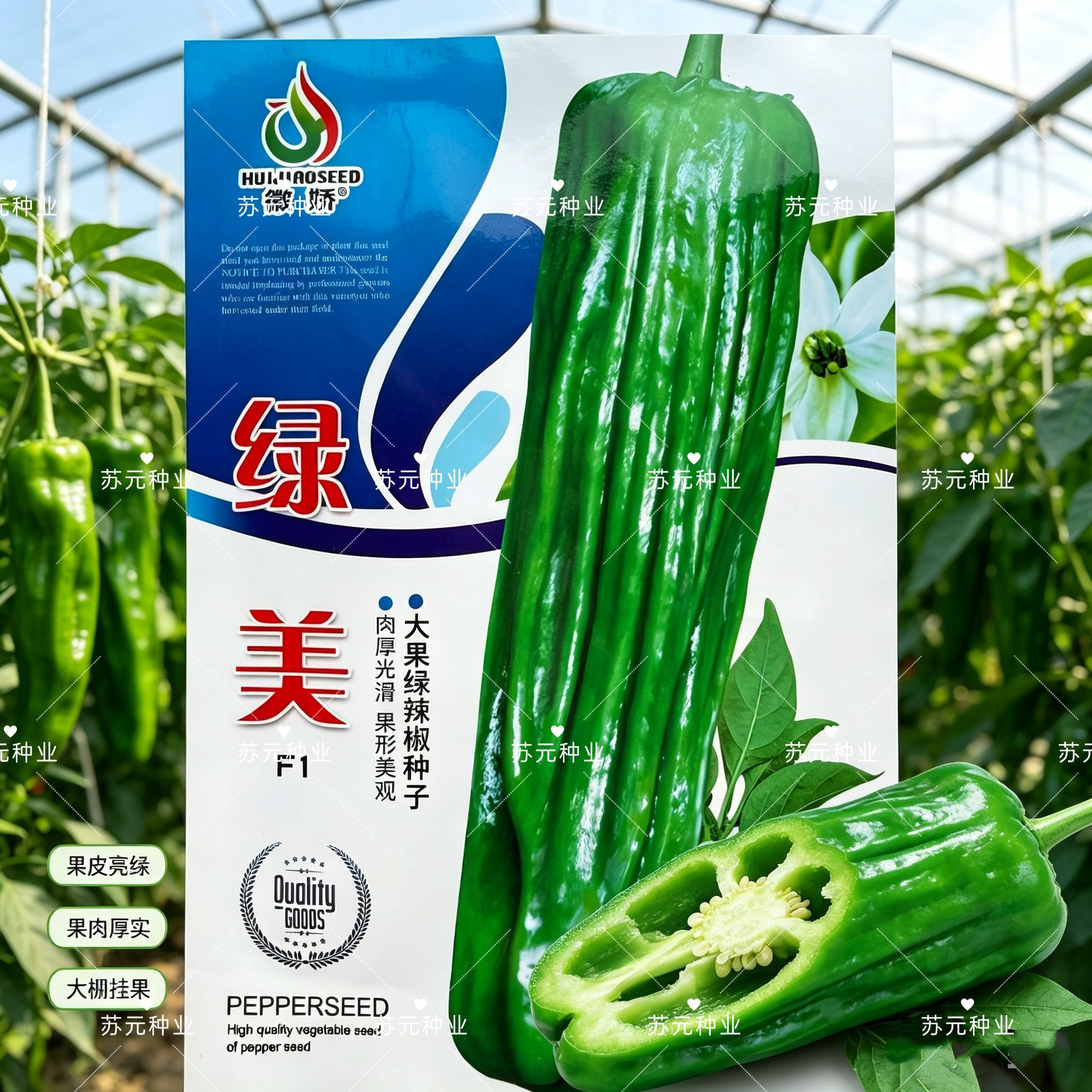 徽娇绿美辣椒种子早熟大果马嘴型泡椒种籽薄皮大灯笼青椒种子基地