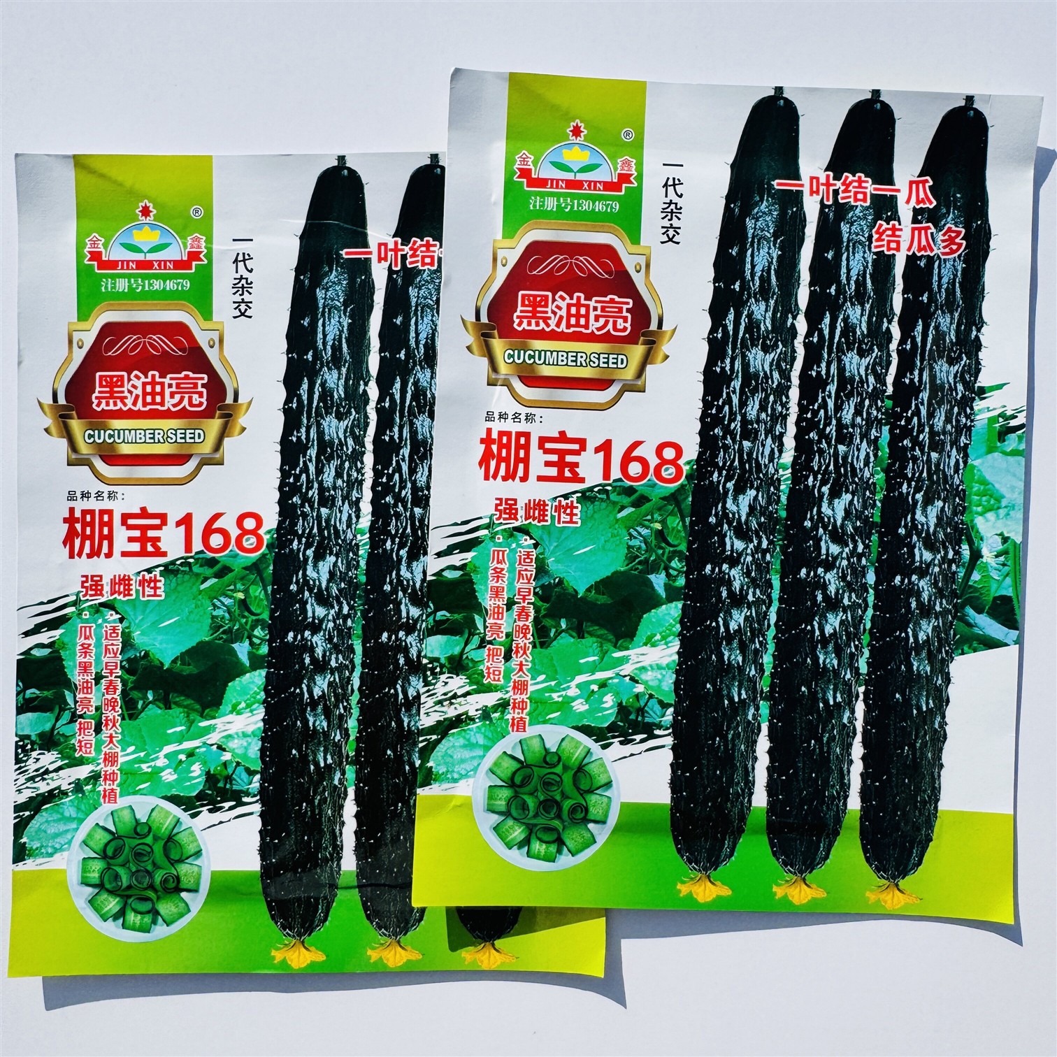 棚宝168黑油亮黄瓜种子早熟强雌瓜码密深绿油亮刺黄瓜种子春秋播