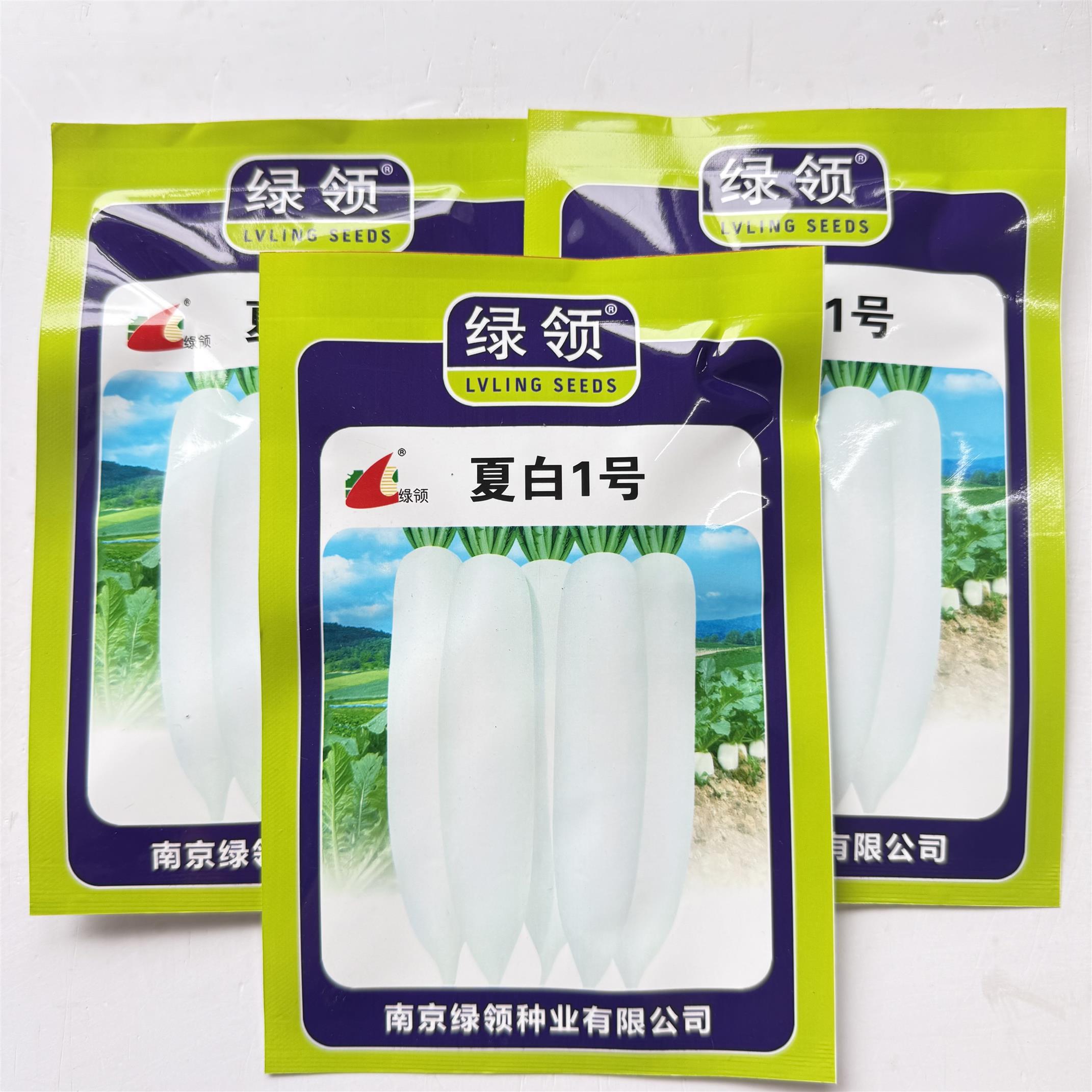 夏白1号长白萝卜种子白皮白肉杂交板叶萝卜种籽春夏秋季播种萝卜