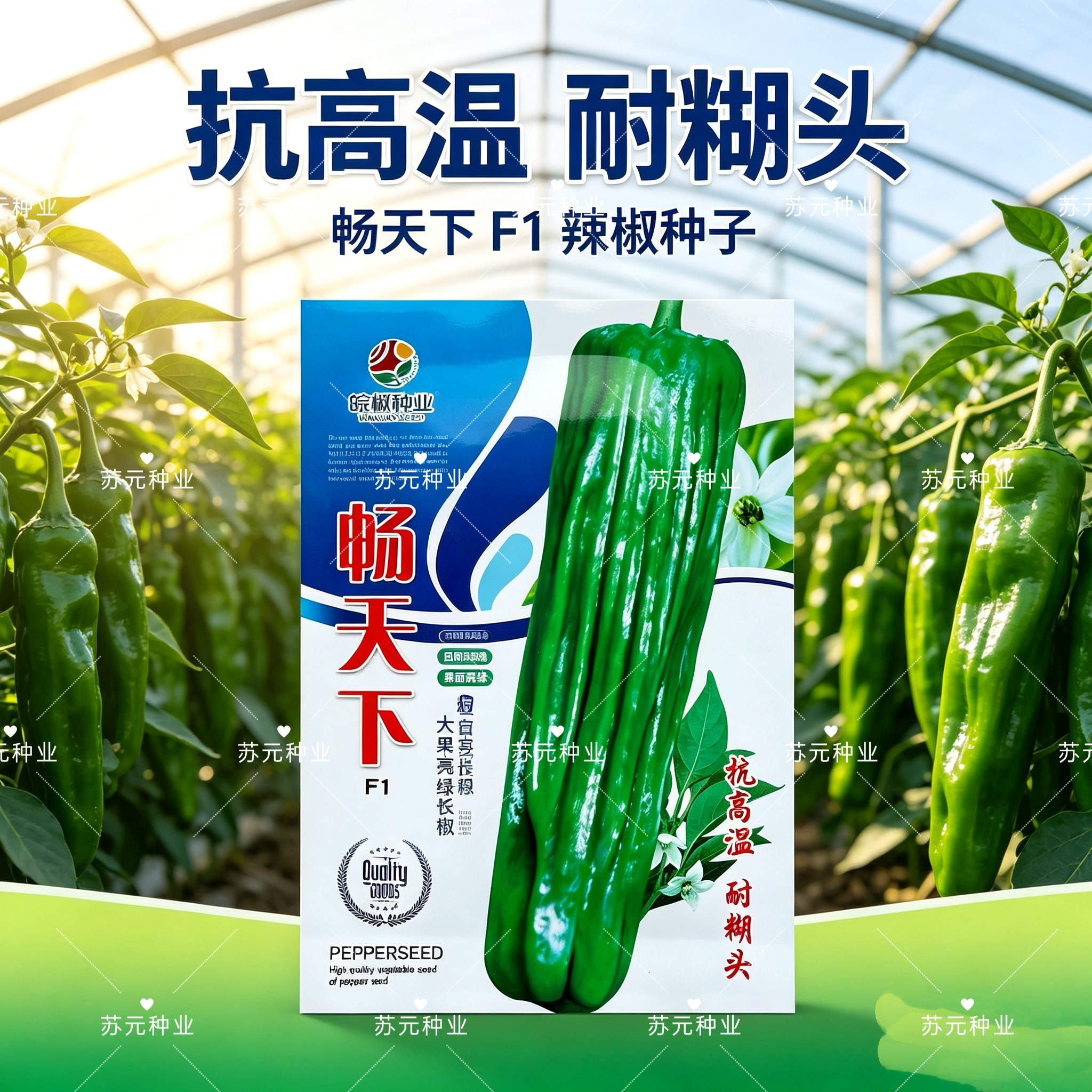 畅天下F1泡椒种子 果大肉薄挂果多 大田基地专用马嘴型大青椒种籽