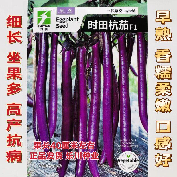 时田杭茄长茄种子早熟香糯柔嫩口感好高产特长线茄子抗病商品性佳
