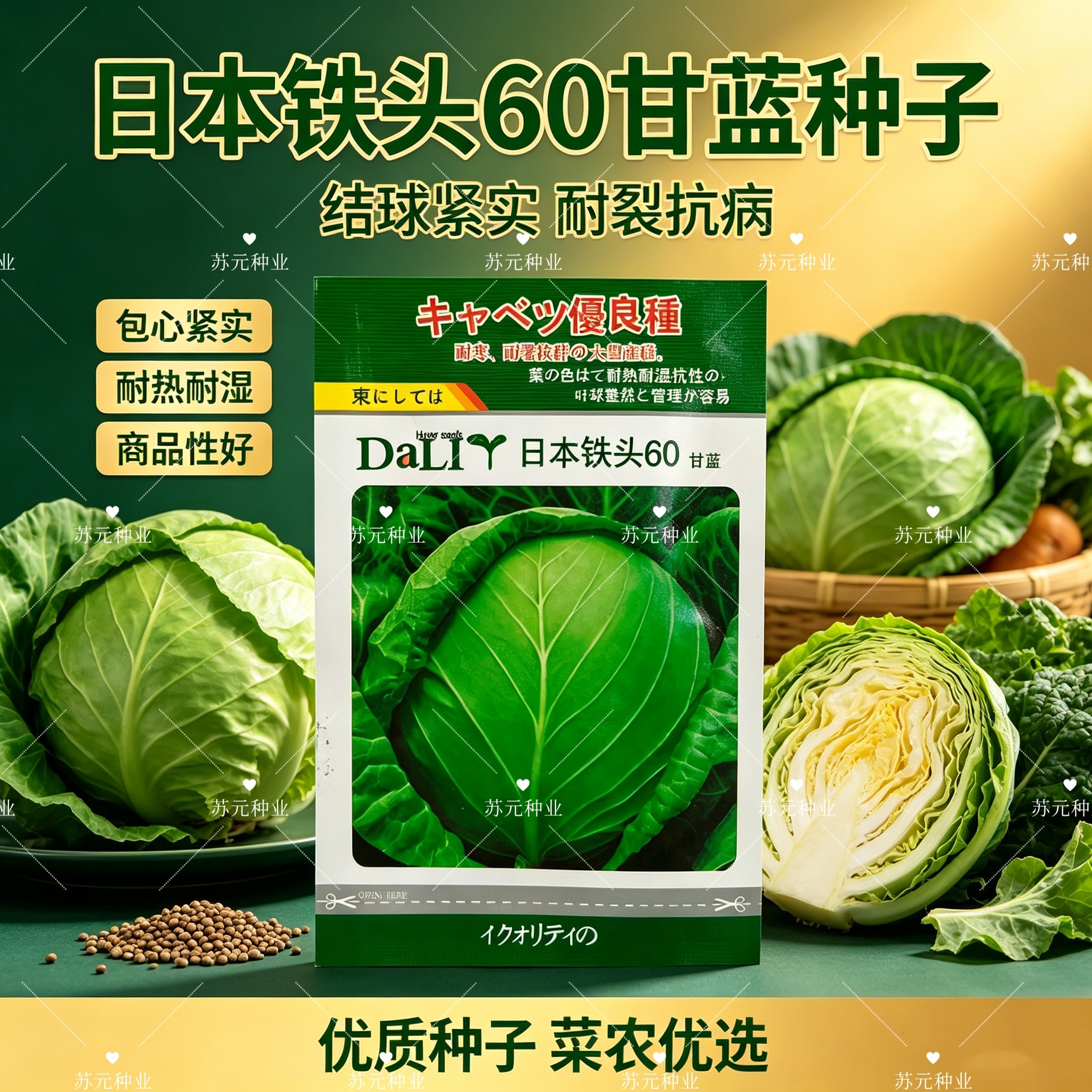 日本铁头60甘蓝种子包菜卷心菜花莲白甘蓝种籽口感好春秋四季甘蓝