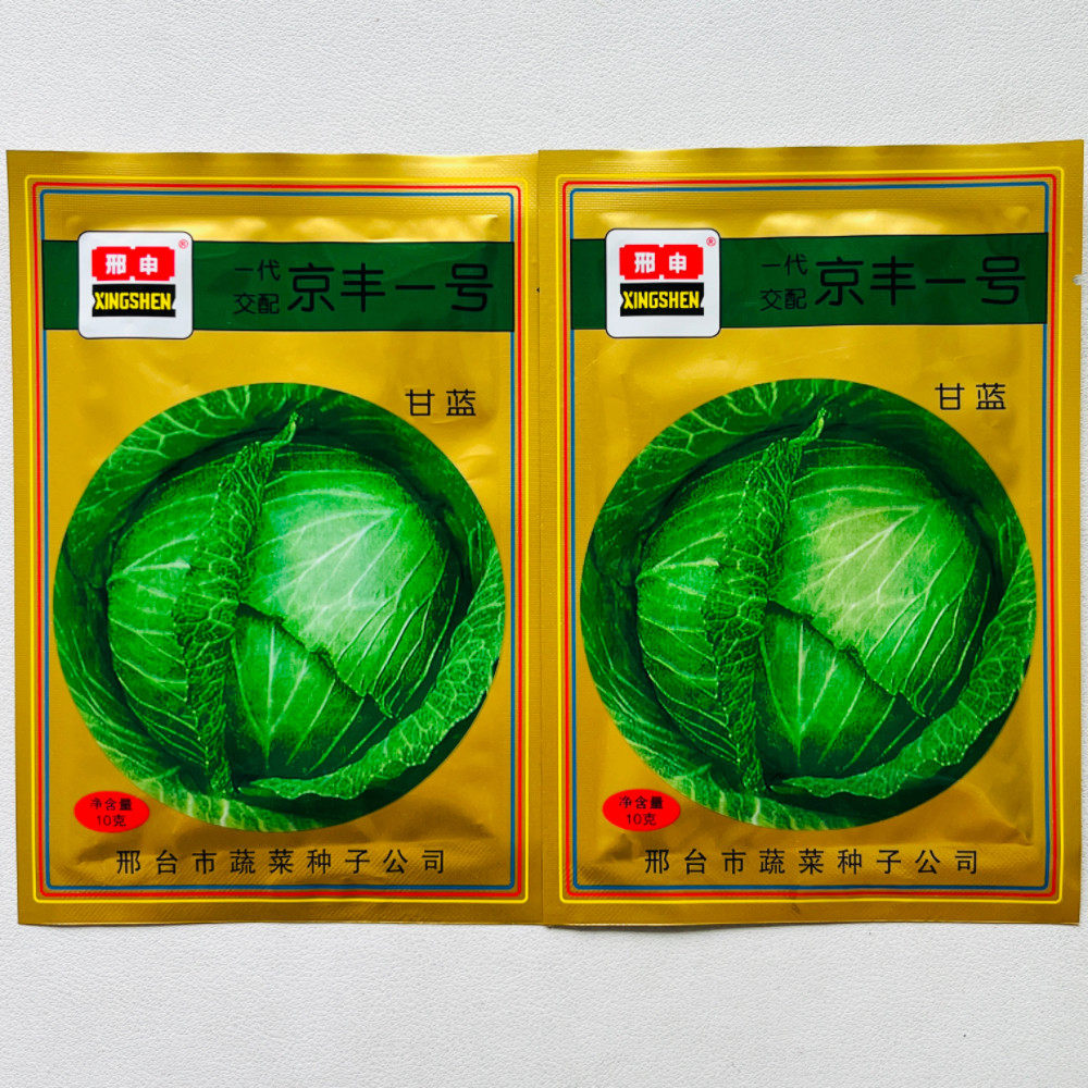 京丰一号甘蓝种子水果型油亮包菜种籽秋播抗病卷心菜秋季播种