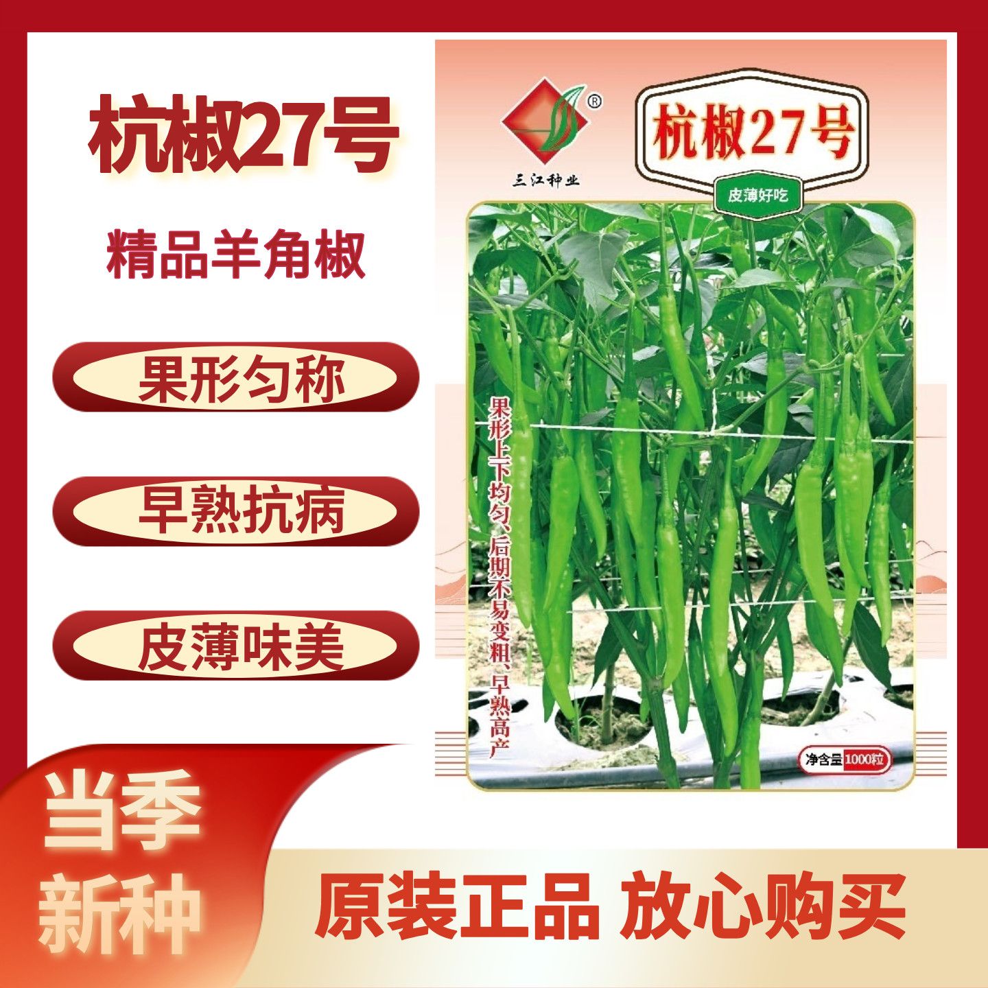 杭椒27号辣椒种子中早熟翠绿小尖椒种籽微辣杭椒蔬菜种子春秋播种