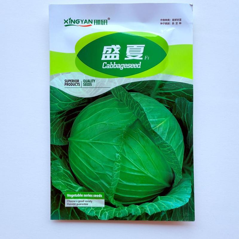 盛夏甘蓝种子中早熟扁圆球型耐热耐贮运包菜种籽春夏秋播结球甘蓝