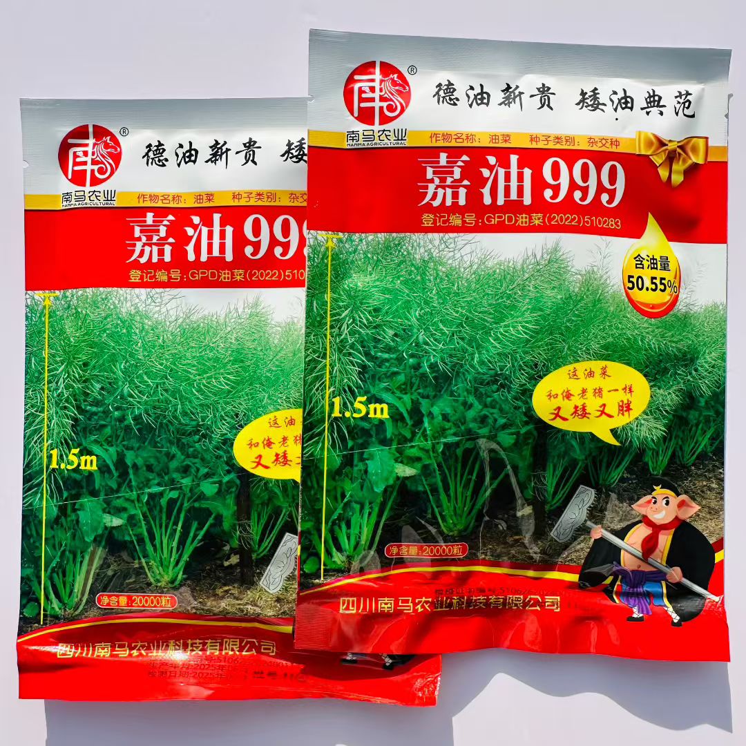 嘉油999黑油菜种籽四川杂交油菜种子矮杆实心杆抗倒伏榨油好品种
