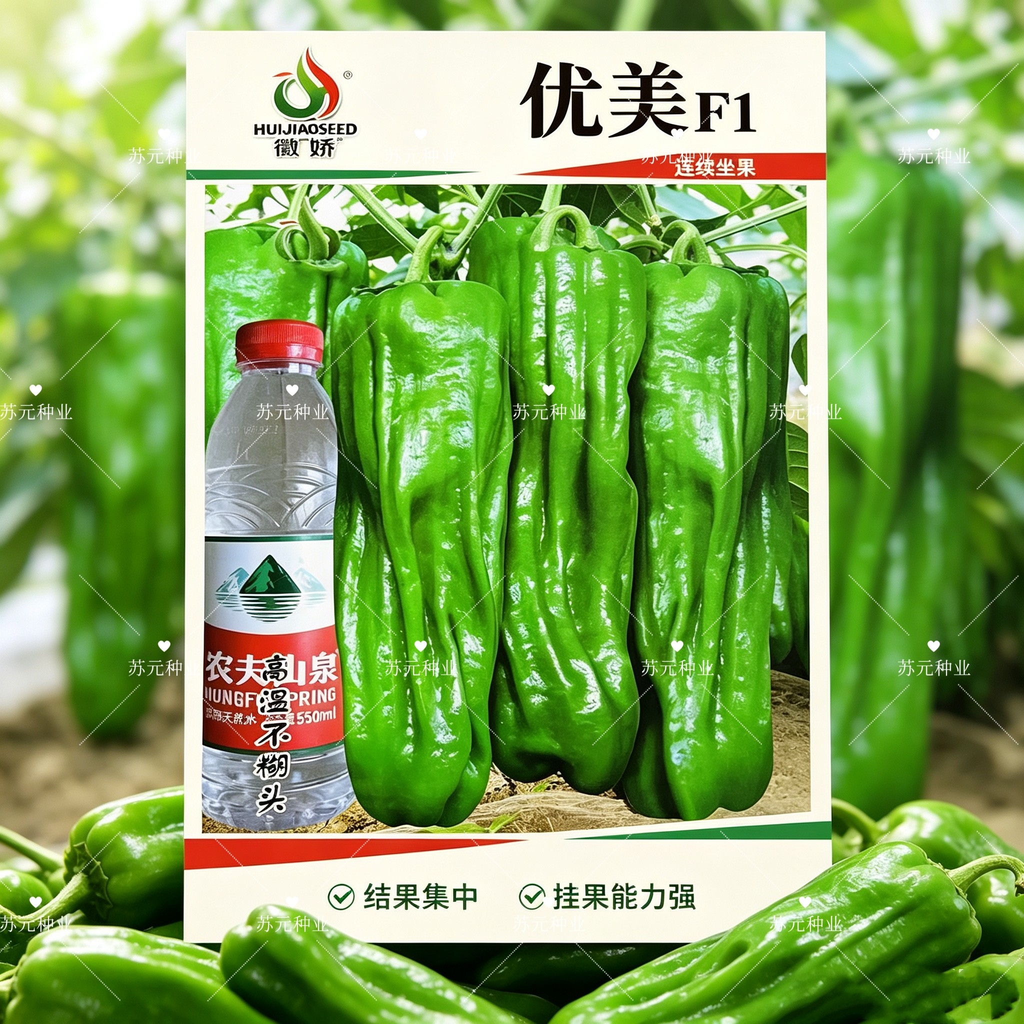 优美辣椒种子早熟大果型薄皮泡椒种籽抗高温农田春秋播种蔬菜种子