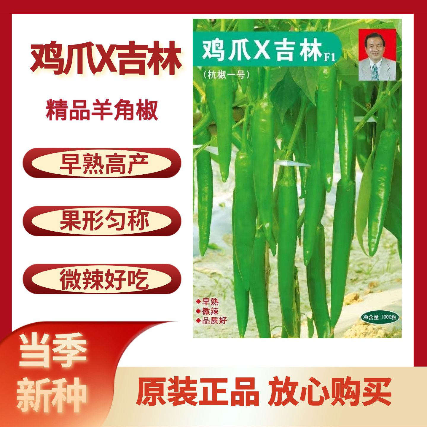 三江种业鸡爪吉林早熟辣椒种子高产抗病性强辣椒种子高山辣椒种子
