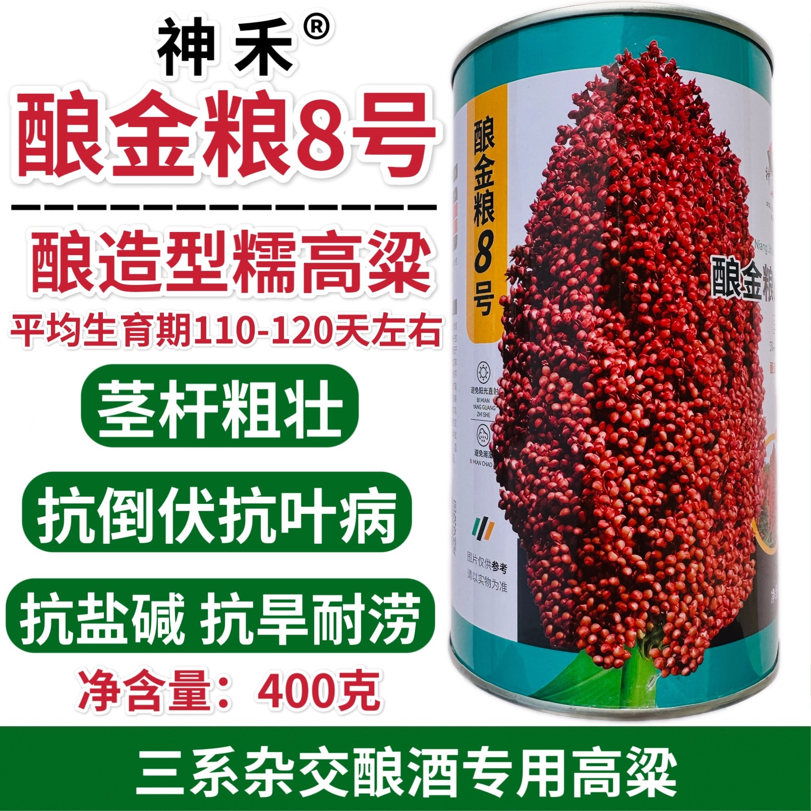 酿金粱8号高粱种子酿酒高粱酒香杂交高粱种子抗倒抗旱耐涝
