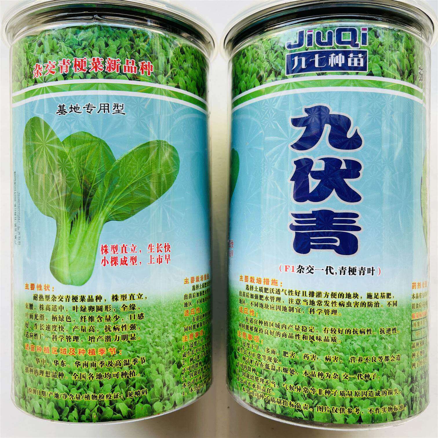 九伏青绿梗小青菜上海青杂交青梗菜种籽抗病高产春夏秋季播种蔬菜