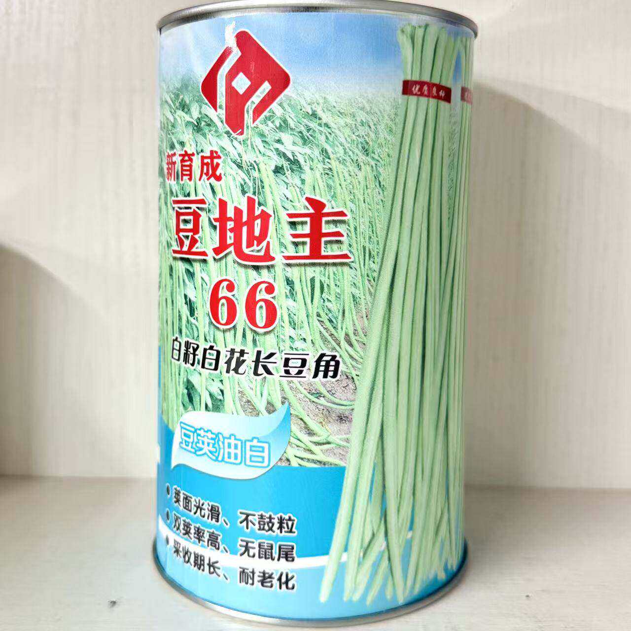 斗地主66白籽白花油白豆角种子耐热性好中早熟优质豆角种子春秋播