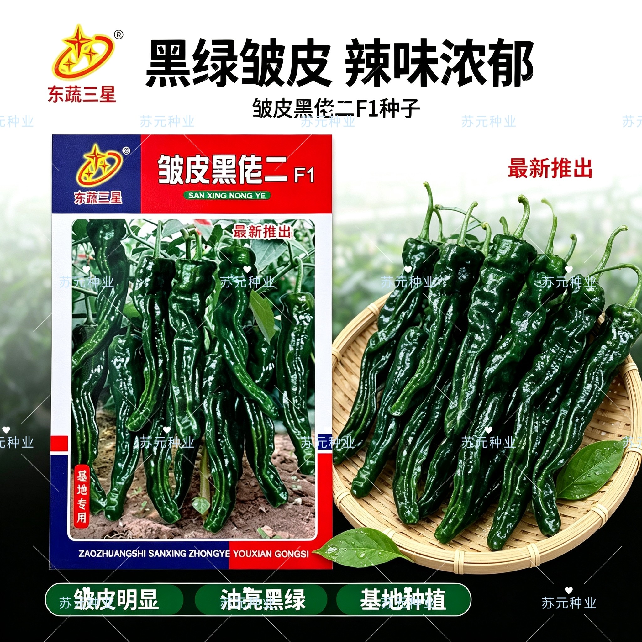 东蔬皱皮黑佬二皱皮辣椒种子早熟辣味强果皮深绿大田用辣椒种籽子