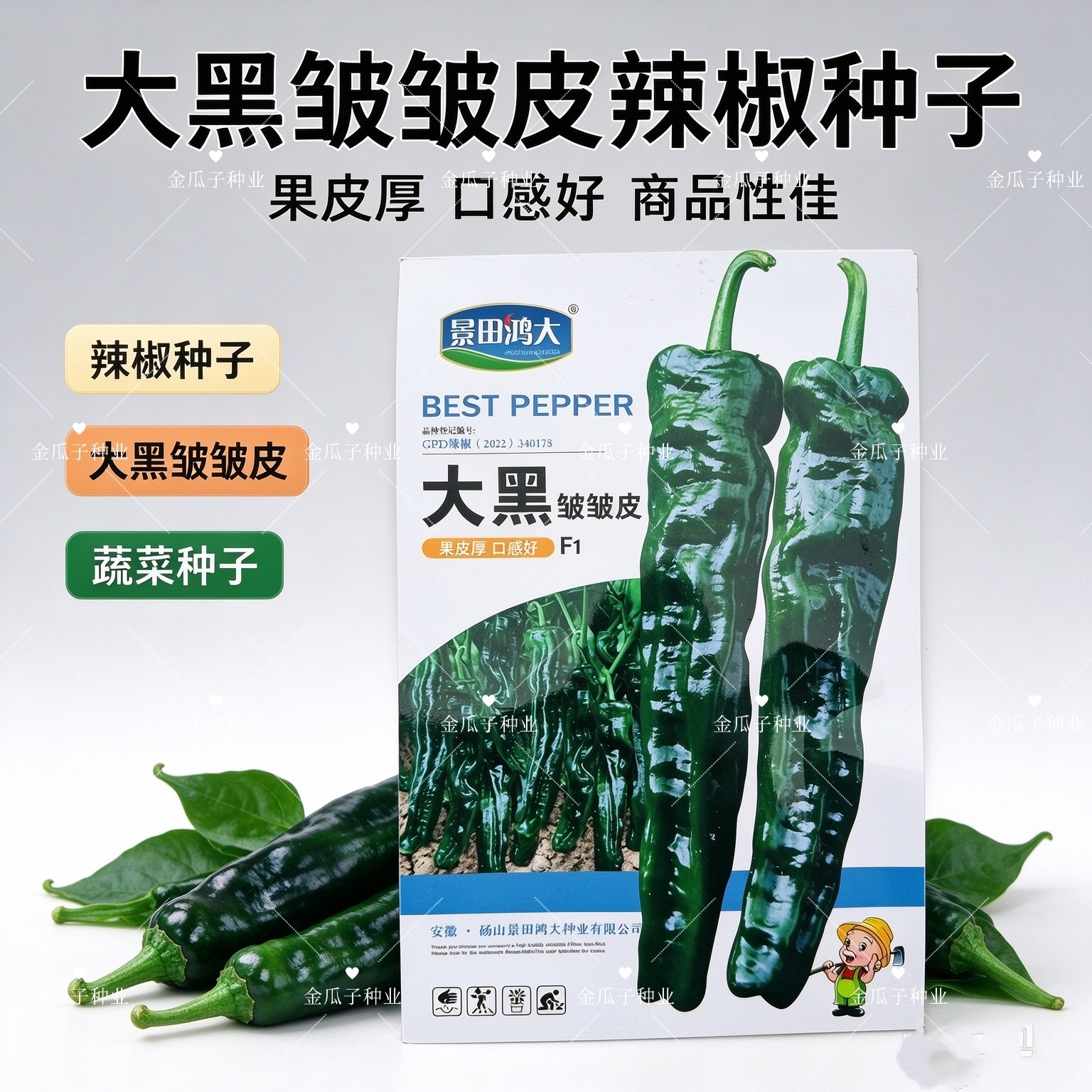 大黑皱皱皮大果皱皮辣椒种子大黑皱皱辣种子特辣皮薄深绿色香辣籽