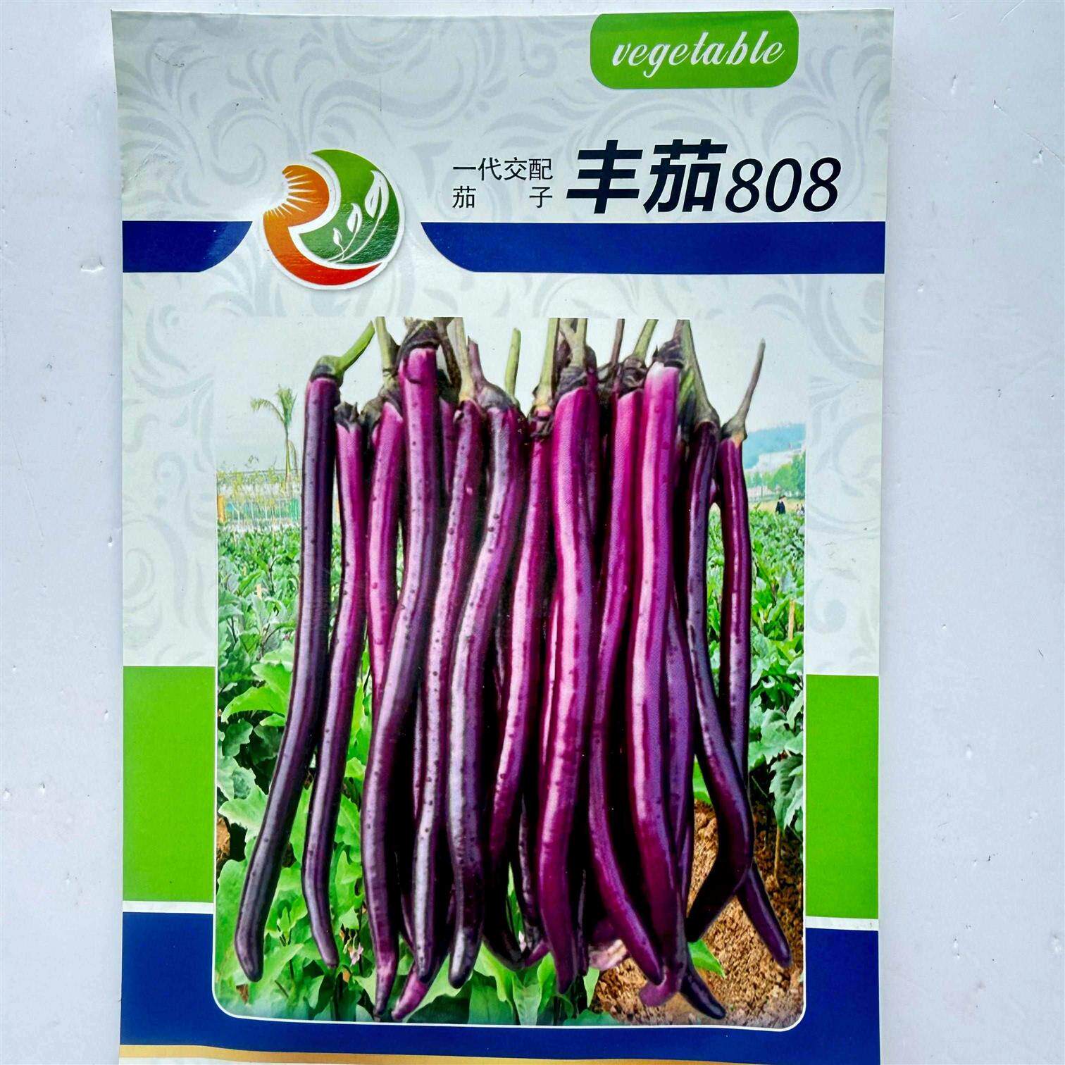 丰茄808紫红长茄种子高产特大线茄种子四季蔬菜种籽长线茄子种子