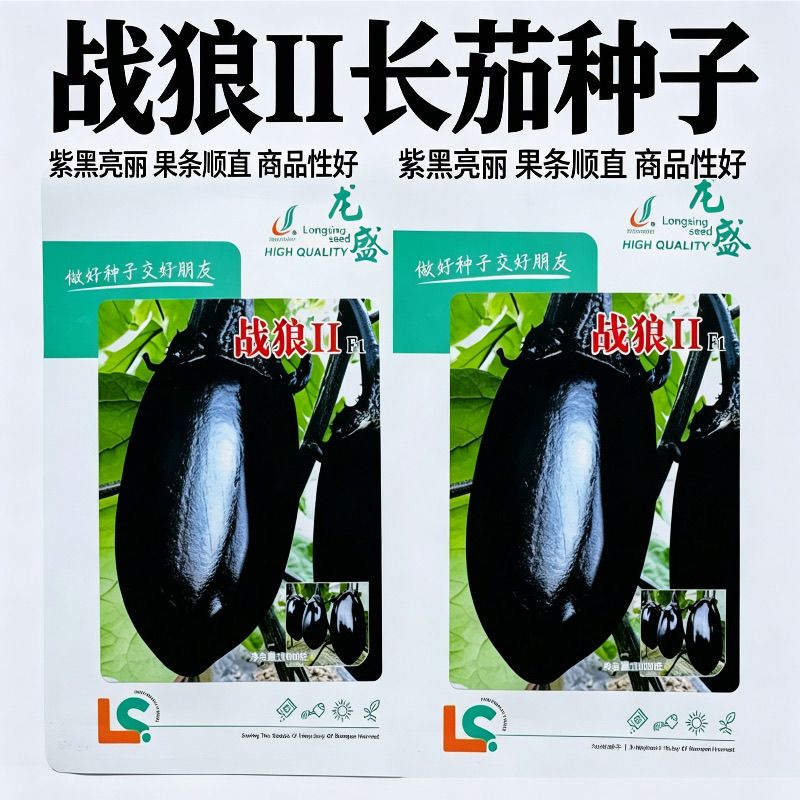 龙盛战狼2早中熟茄子种子 果实灯泡型果面油黑 果肉淡绿春秋播种