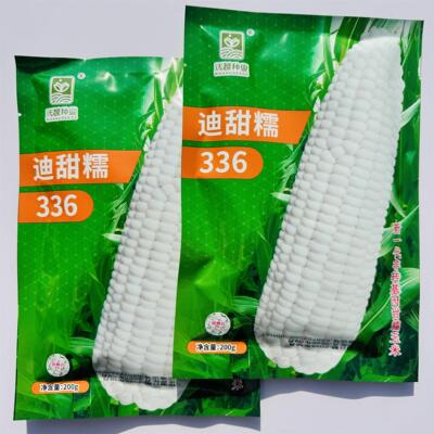 沃蔬迪甜糯336甜加糯玉米种子 早熟矮杆果穗筒型籽粒白色甜糯性