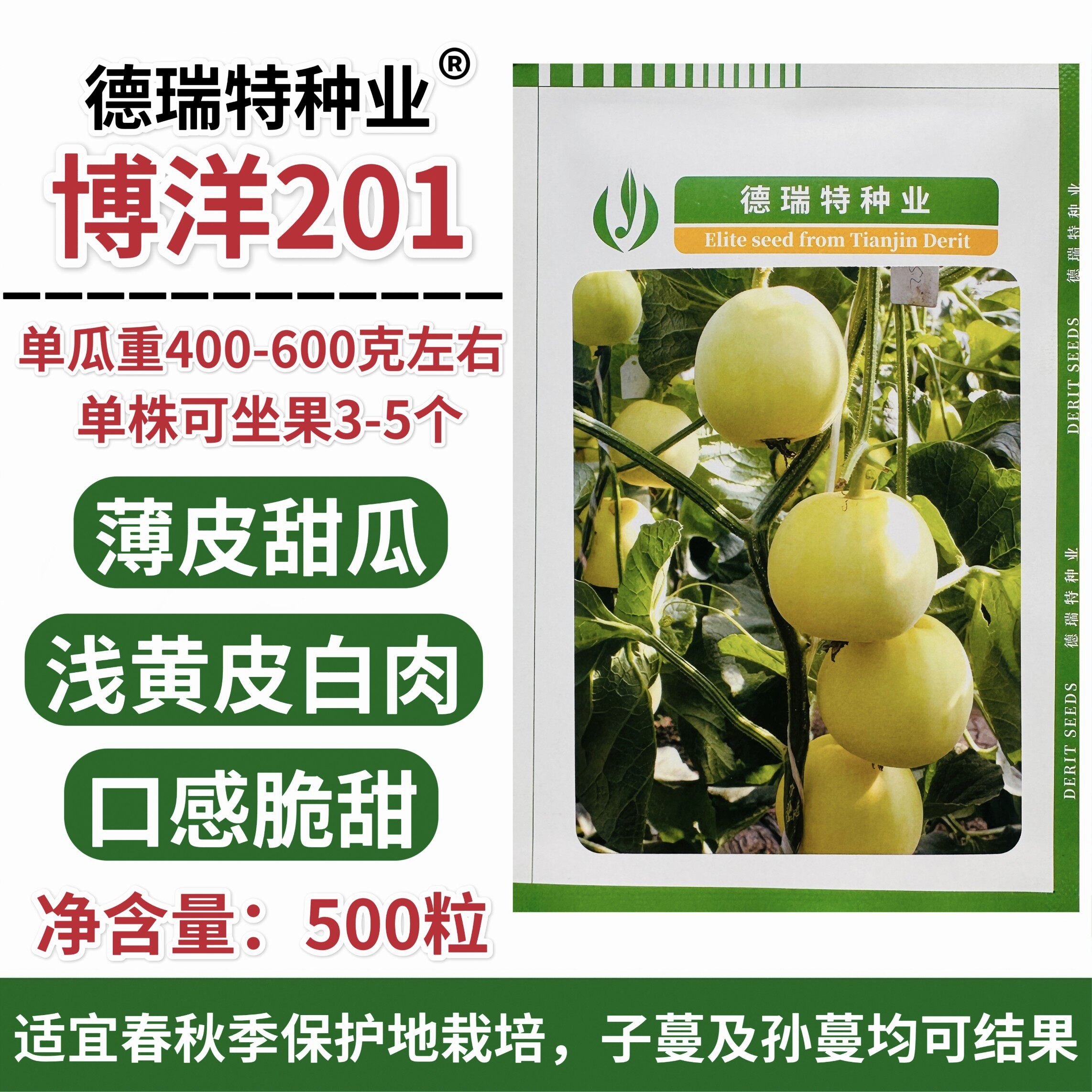 正宗博洋201甜瓜种子甜瓜种籽早熟薄皮白肉高产20类型甜瓜