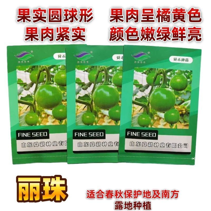 舜禾种苗丽珠嫩南瓜种子圆球型果肉橘黄色口感甜脆耐低温抗逆性强
