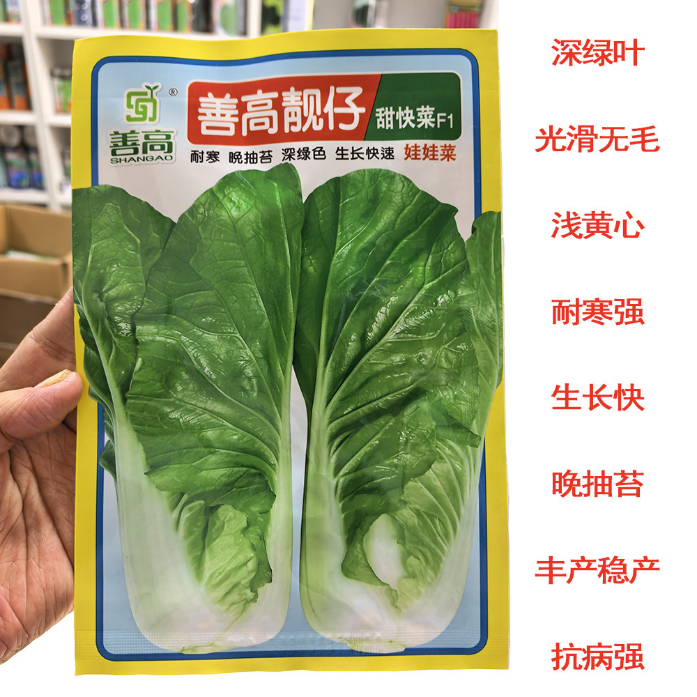 甜快菜种子善高靓仔小白菜种籽四季夏季春秋冬阳台田园蔬菜种籽孑