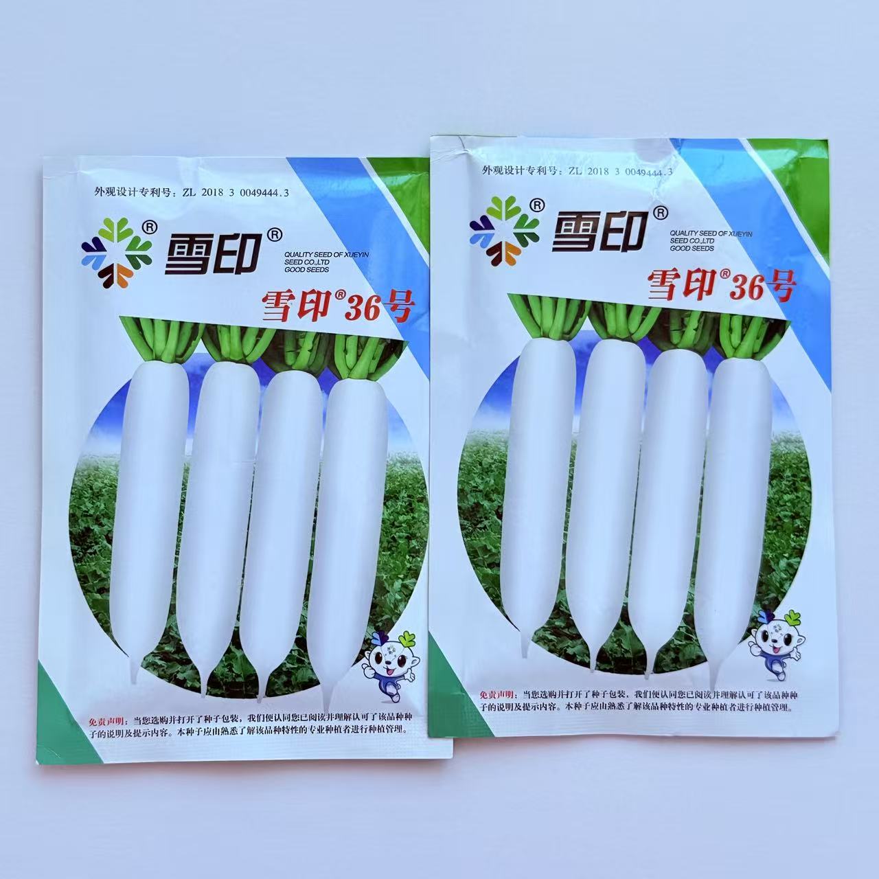 雪印36号萝卜种子根皮白色根眼小有光泽糠心晚根长粗高产抗病耐储