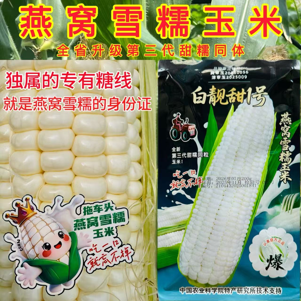 白靓甜1号燕窝糯玉米种子爆汁玉米全新第三代超甜糯玉米种好种植