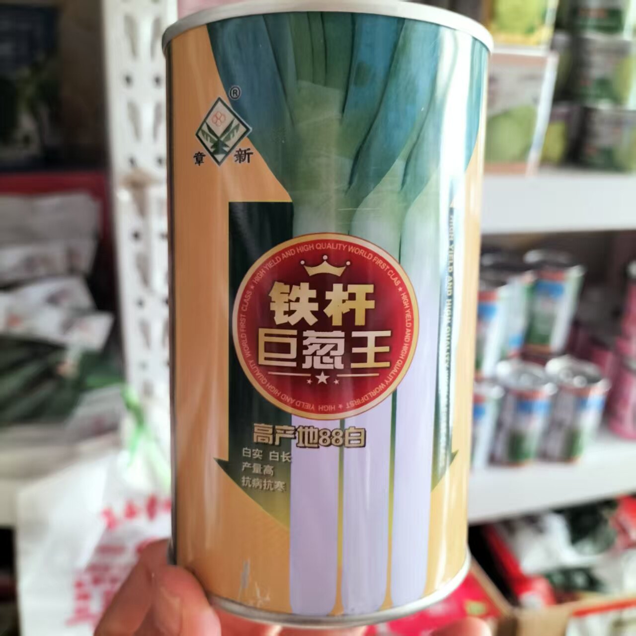铁杆巨葱王大葱种子葱白长抗倒伏抗病生长快抗寒章丘基地用葱种籽