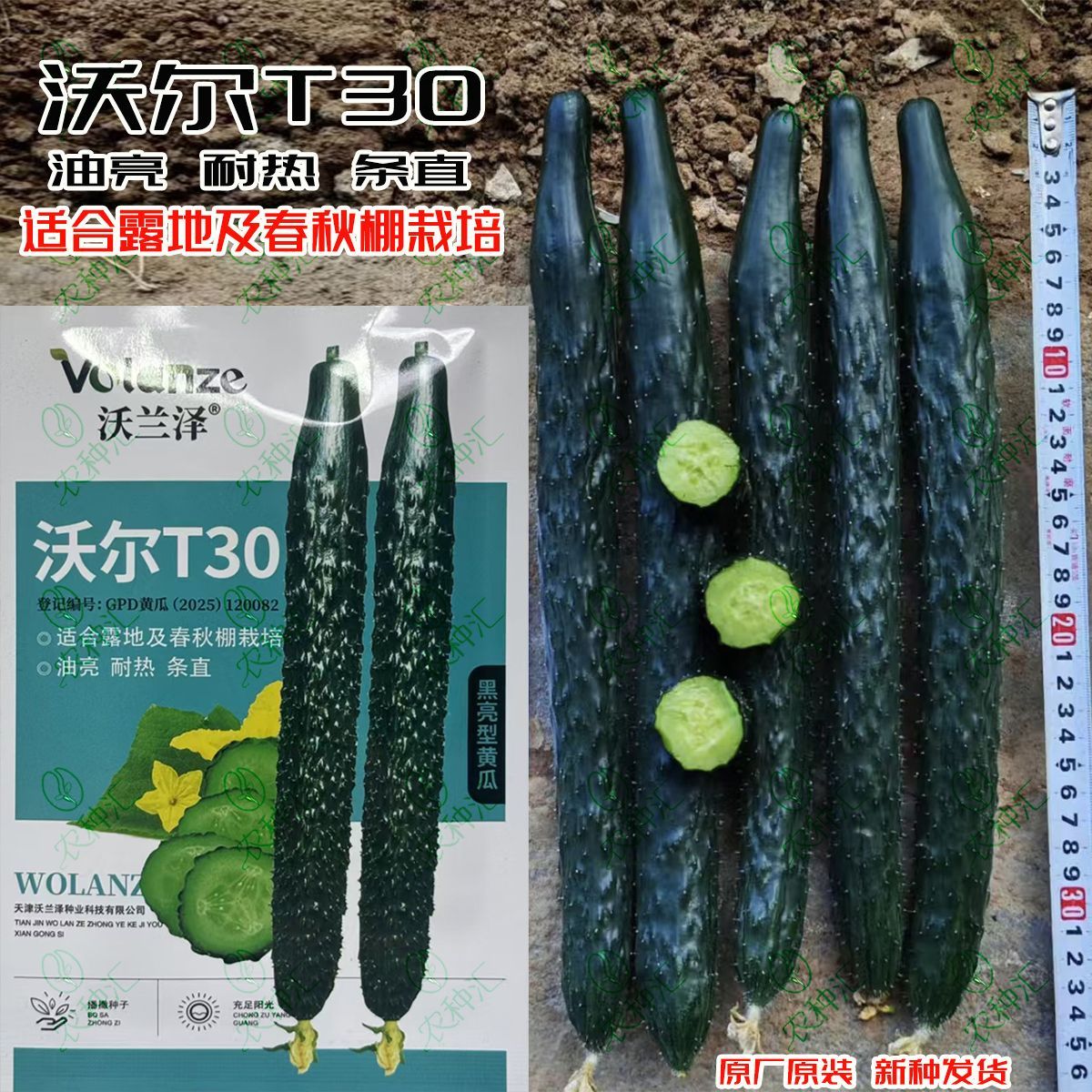 沃尔T30黄瓜种子黑亮条直耐热春秋大棚露天当季高产油亮黄瓜种籽