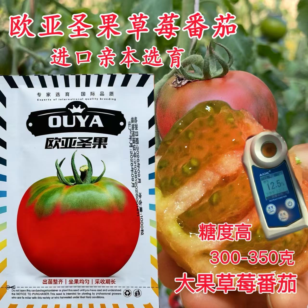 欧亚圣果草莓番茄种子日本引进一代杂交粉红西红柿种籽大果正品