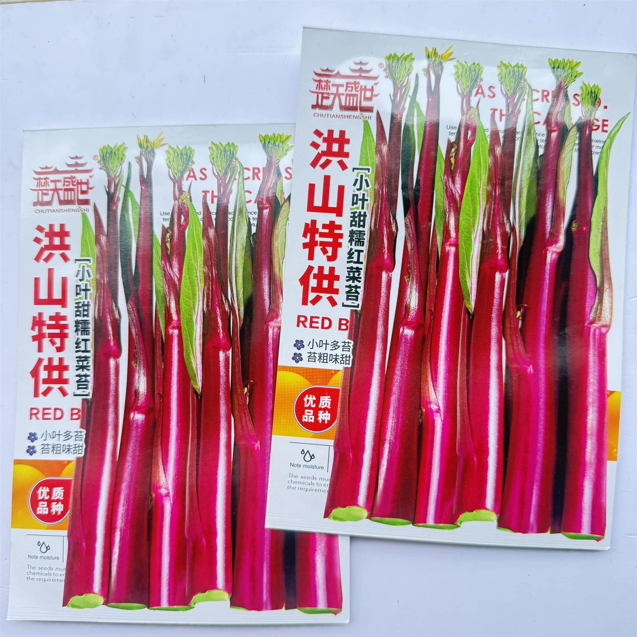 武汉洪山红菜苔种子正宗湖北紫菜薹早熟耐热抗病秋季夏季播种蔬菜