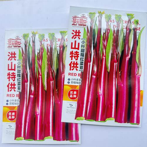 武汉洪山红菜苔种子正宗湖北紫菜薹早熟耐热抗病秋季夏季播种蔬菜