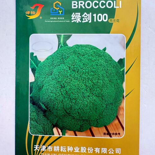 绿剑80/100西兰花种子花椰菜种籽耐寒高产西蓝花种孑农家秋季播种