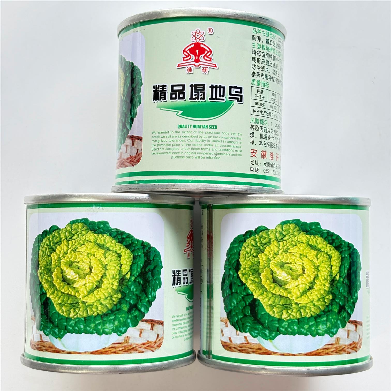 精品塌地乌黄心乌塌菜种子养心菜菊花菜种籽耐寒秋播菊花心菜