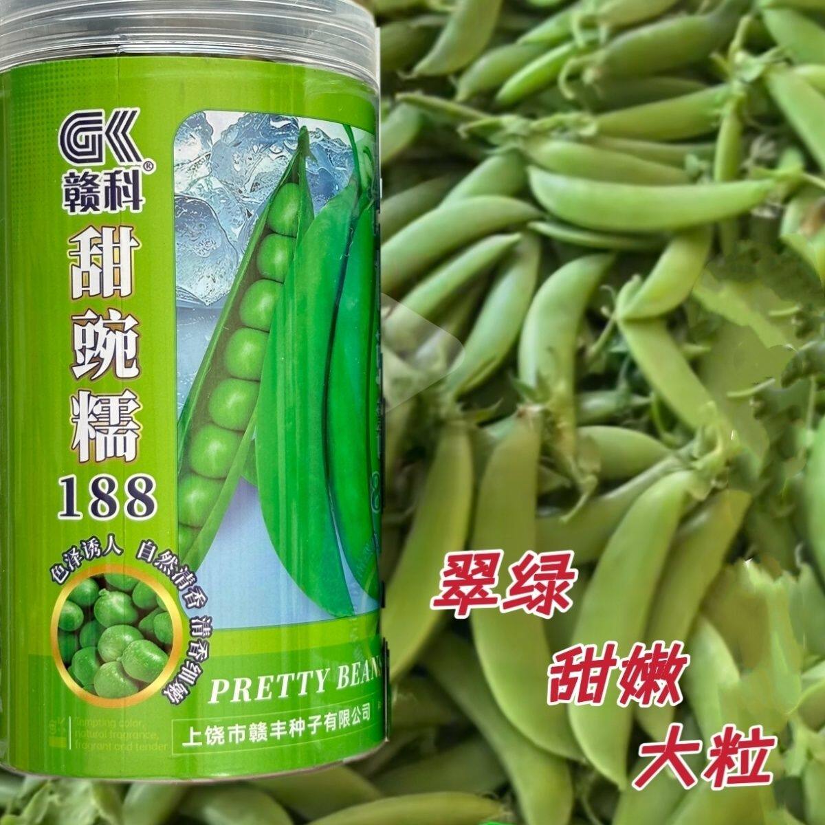赣科甜豌糯188豌豆种子豆荚粗大圆厚口感甜脆清香农家秋播豌豆种