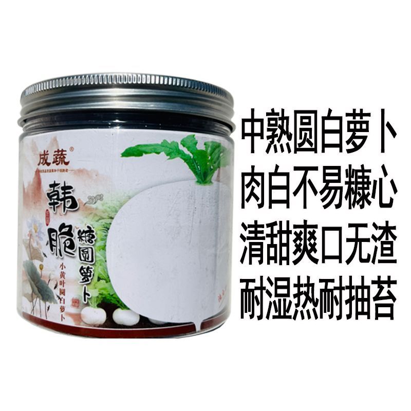 韩脆糖圆萝卜种子中熟圆白萝卜种子耐热耐湿耐抽苔秋季蔬菜种籽孑