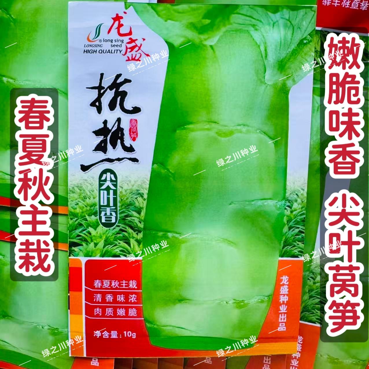 抗热尖叶香莴笋种子耐热莴笋种子春夏秋莴笋清香脆爽青皮莴苣种籽