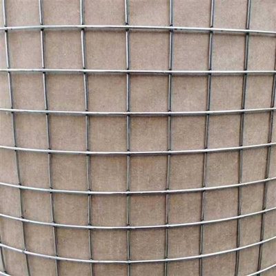 新品镀锌铁丝电焊片养殖建网围栏网钢75221411丝网M笼小孔网加粗
