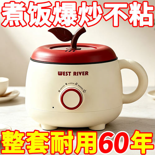 苹果电煮锅寝室锅出租屋煎鱼蛋煮饭电热火锅烤肉多功能宿舍小电锅