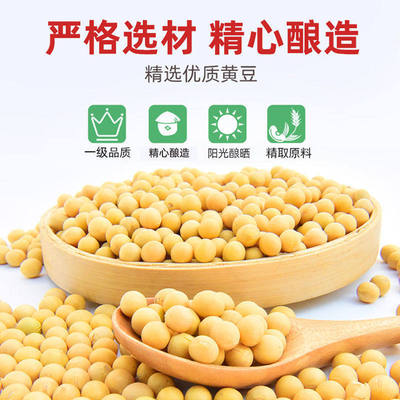 Haitian Soybean Paste 450g Cooking Sauce Pack