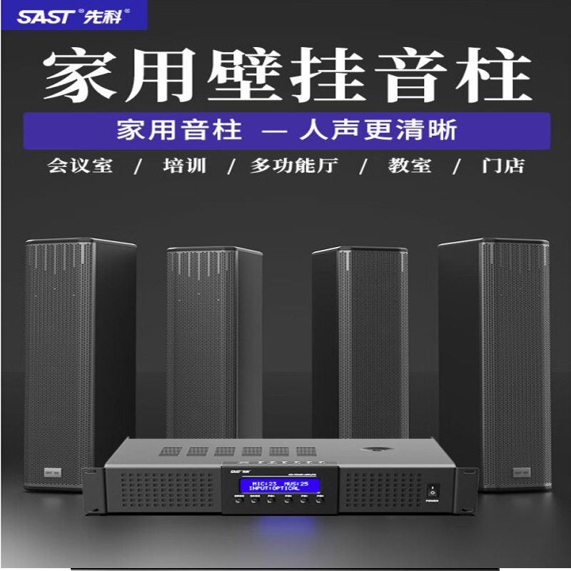 先科A-17线性阵列会议音柱音箱套装专业会议室舞台显示屏组合音响