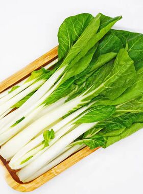 5包方震四季蔬菜种子四季甜脆小白菜青菜籽适合新手小白耐寒菜种